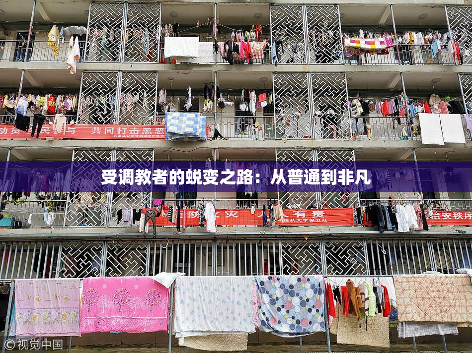 受调教者的蜕变之路：从普通到非凡