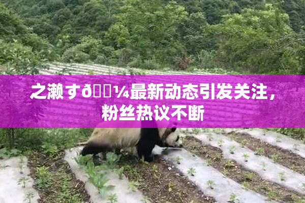 之濑す🌼最新动态引发关注，粉丝热议不断