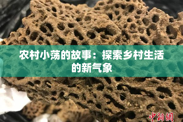 农村小荡的故事：探索乡村生活的新气象