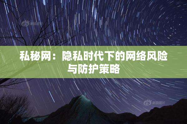 私秘网：隐私时代下的网络风险与防护策略