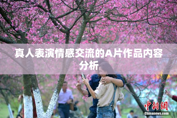 真人表演情感交流的A片作品内容分析
