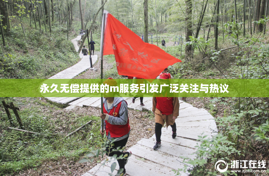 永久无偿提供的m服务引发广泛关注与热议