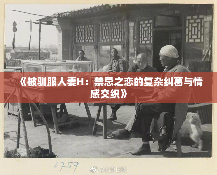 《被驯服人妻H：禁忌之恋的复杂纠葛与情感交织》