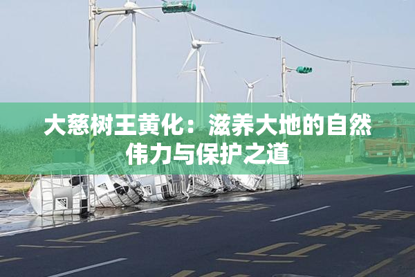 大慈树王黄化：滋养大地的自然伟力与保护之道