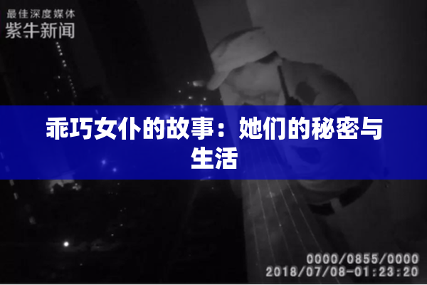 乖巧女仆的故事：她们的秘密与生活
