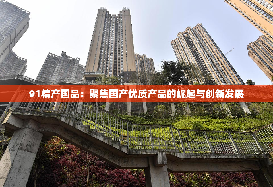 91精产国品：聚焦国产优质产品的崛起与创新发展