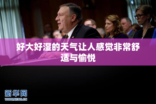 好大好湿的天气让人感觉非常舒适与愉悦