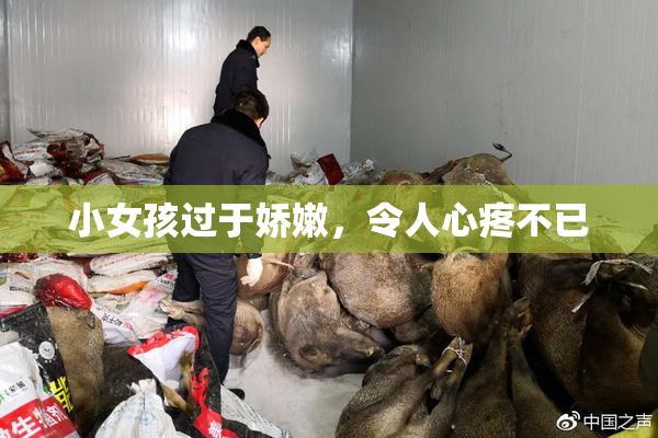 小女孩过于娇嫩，令人心疼不已
