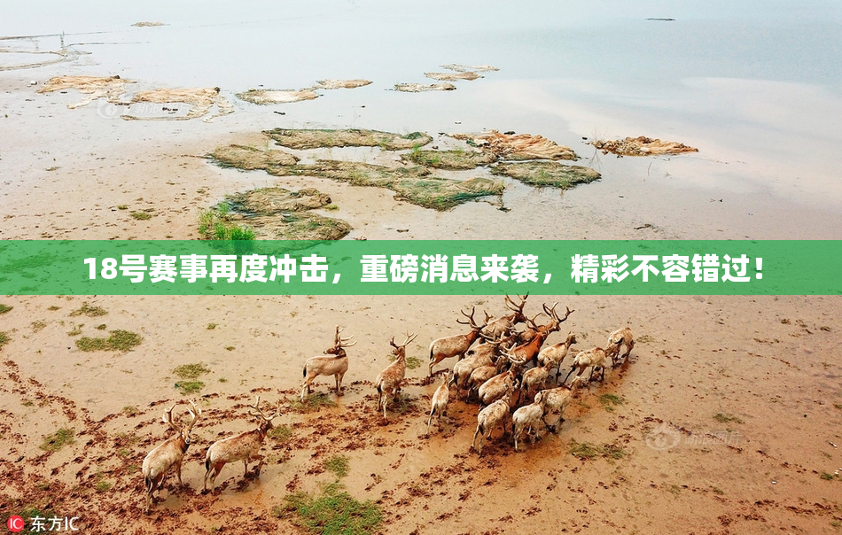 18号赛事再度冲击，重磅消息来袭，精彩不容错过！