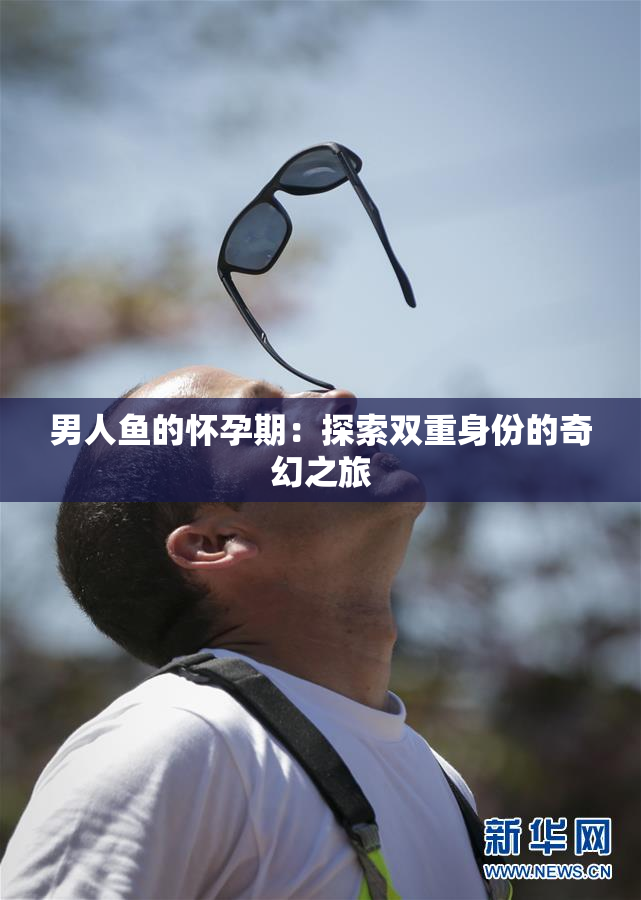 男人鱼的怀孕期：探索双重身份的奇幻之旅