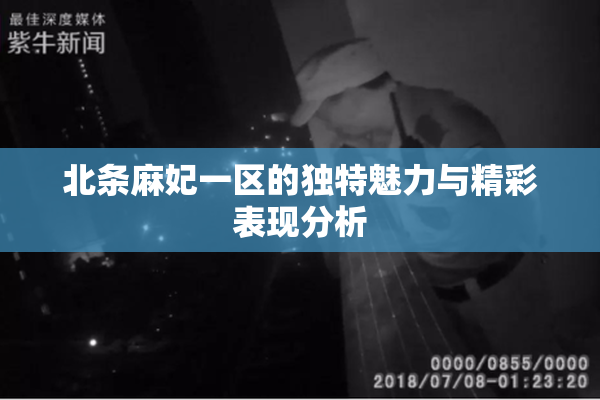 北条麻妃一区的独特魅力与精彩表现分析