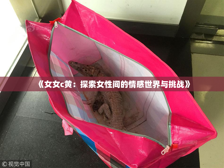 《女女c黄：探索女性间的情感世界与挑战》