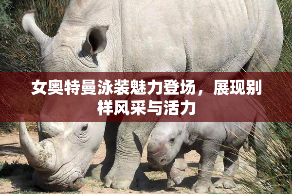 女奥特曼泳装魅力登场，展现别样风采与活力