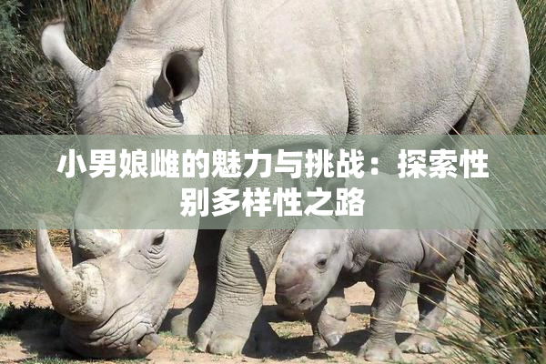 小男娘雌的魅力与挑战：探索性别多样性之路