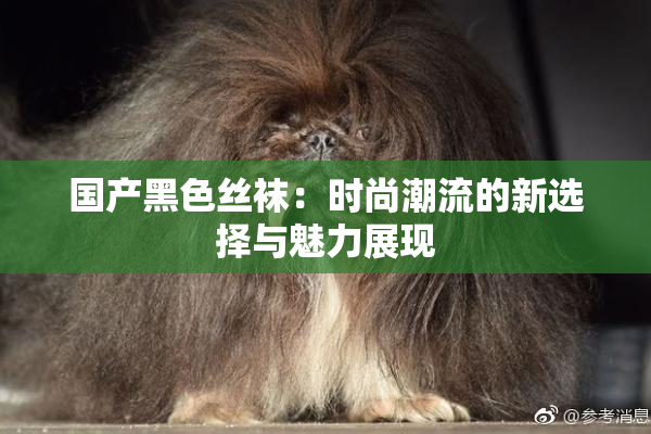 国产黑色丝袜：时尚潮流的新选择与魅力展现