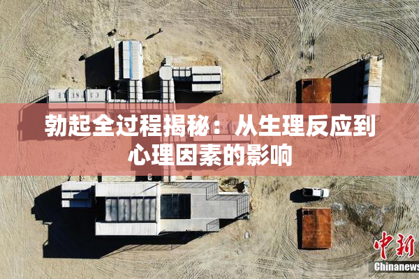 勃起全过程揭秘：从生理反应到心理因素的影响