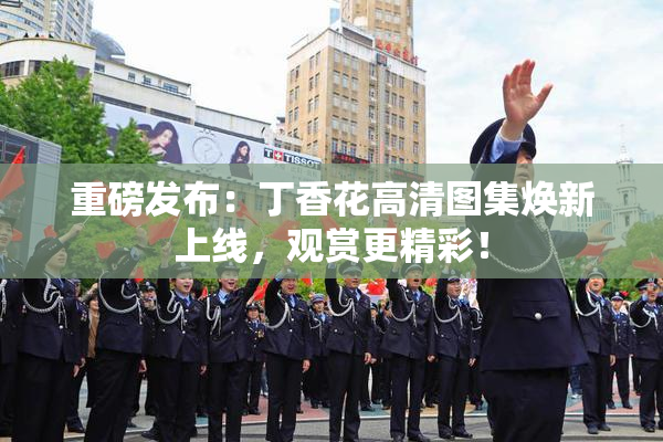 重磅发布：丁香花高清图集焕新上线，观赏更精彩！