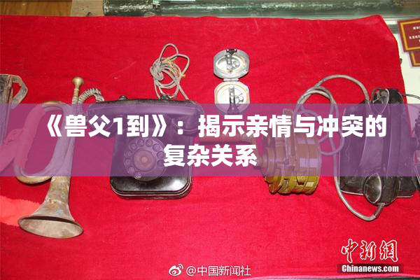《兽父1到》：揭示亲情与冲突的复杂关系