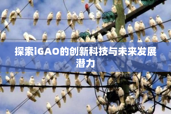 探索iGAO的创新科技与未来发展潜力