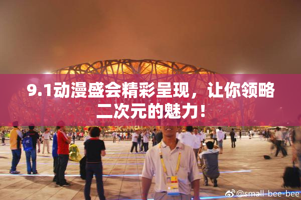 9.1动漫盛会精彩呈现，让你领略二次元的魅力！