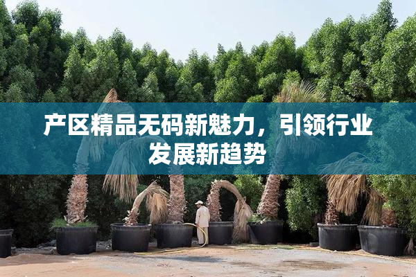产区精品无码新魅力，引领行业发展新趋势