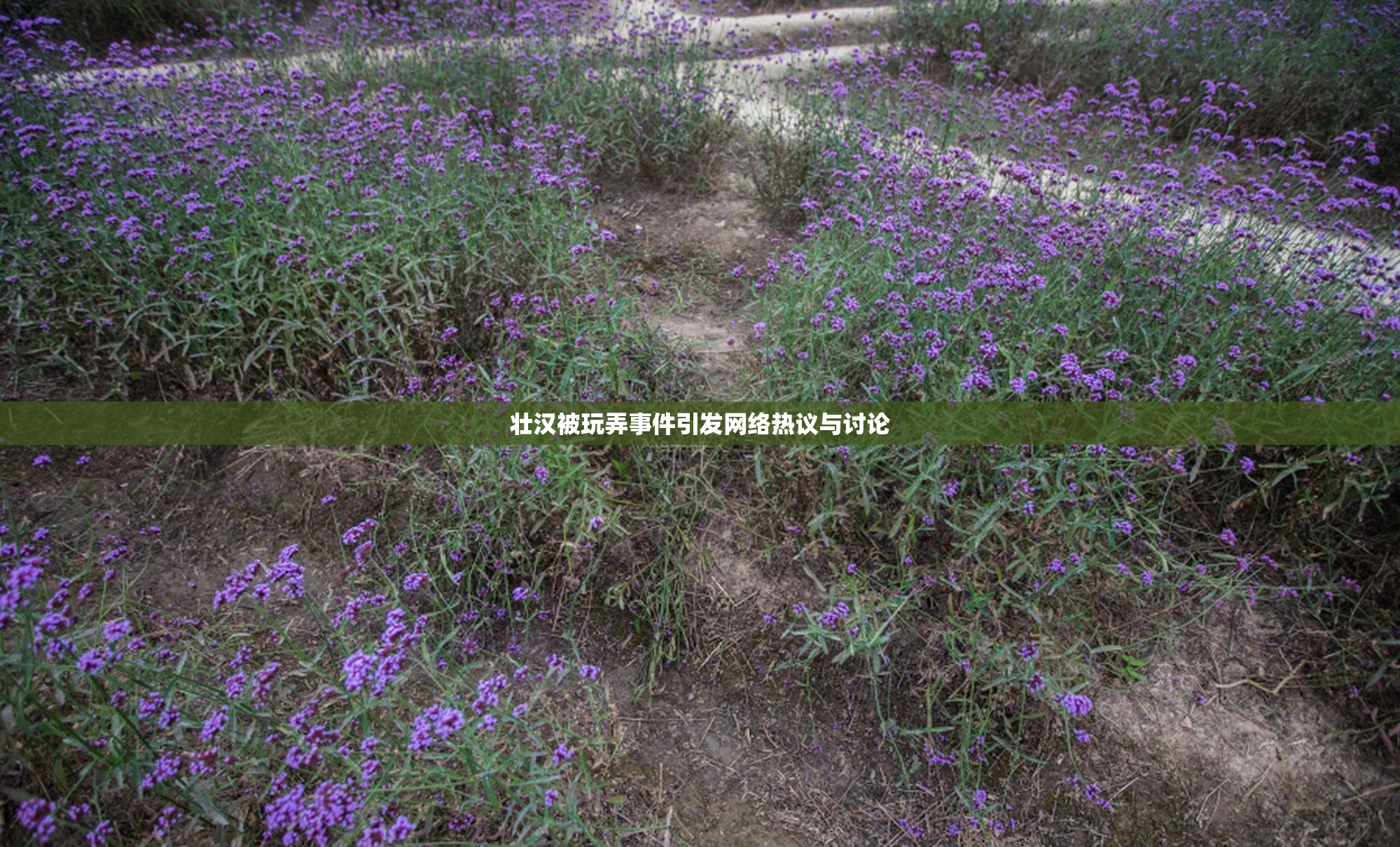 壮汉被玩弄事件引发网络热议与讨论