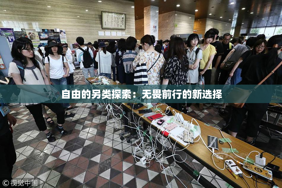 自由的另类探索：无畏前行的新选择