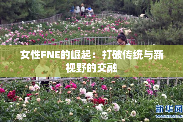 女性FNE的崛起：打破传统与新视野的交融