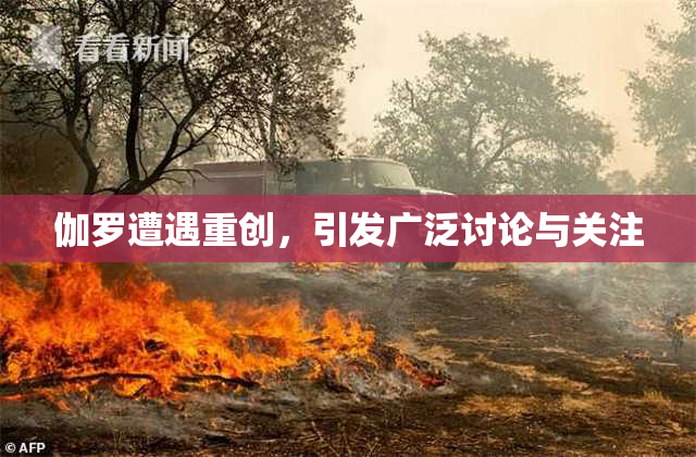 伽罗遭遇重创，引发广泛讨论与关注