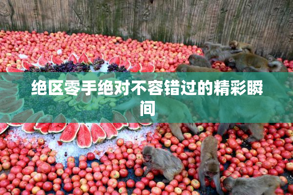 绝区零手绝对不容错过的精彩瞬间