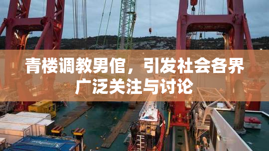 青楼调教男倌，引发社会各界广泛关注与讨论