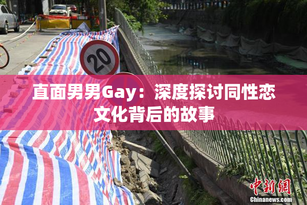 直面男男Gay：深度探讨同性恋文化背后的故事