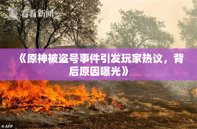《原神被盗号事件引发玩家热议，背后原因曝光》