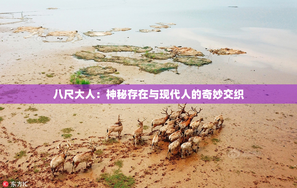 八尺大人：神秘存在与现代人的奇妙交织