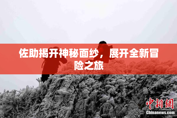 佐助揭开神秘面纱，展开全新冒险之旅