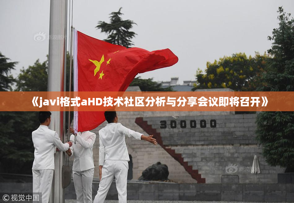 《javi格式aHD技术社区分析与分享会议即将召开》