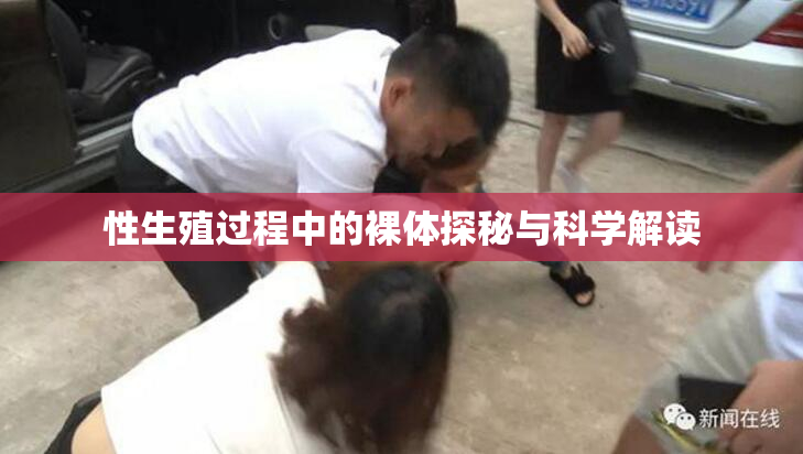 性生殖过程中的裸体探秘与科学解读