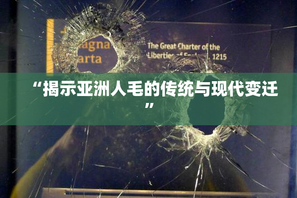“揭示亚洲人毛的传统与现代变迁”