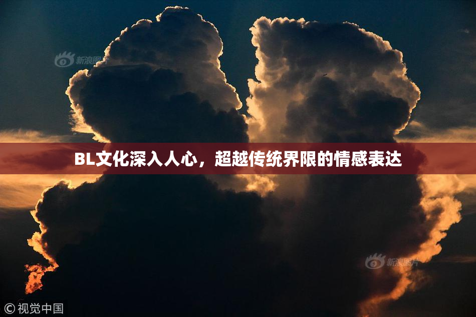 BL文化深入人心，超越传统界限的情感表达