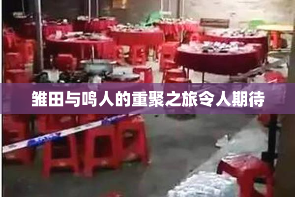雏田与鸣人的重聚之旅令人期待