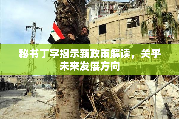 秘书丁字揭示新政策解读，关乎未来发展方向