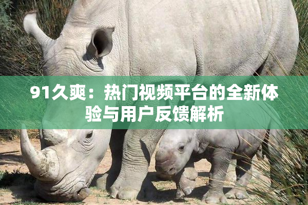 91久爽：热门视频平台的全新体验与用户反馈解析