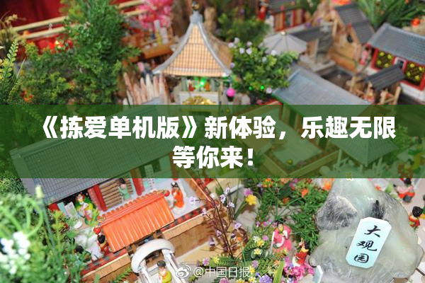 《拣爱单机版》新体验，乐趣无限等你来！