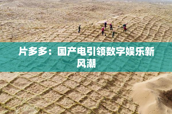 片多多：国产电引领数字娱乐新风潮