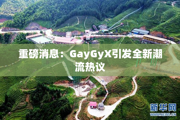 重磅消息：GayGyX引发全新潮流热议