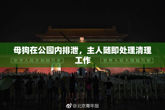 母狗在公园内排泄，主人随即处理清理工作
