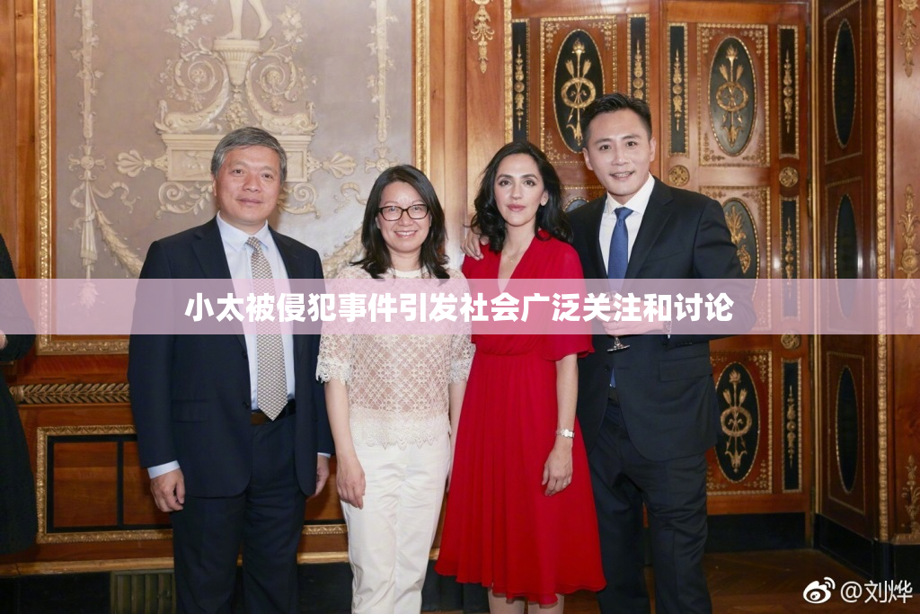 小太被侵犯事件引发社会广泛关注和讨论