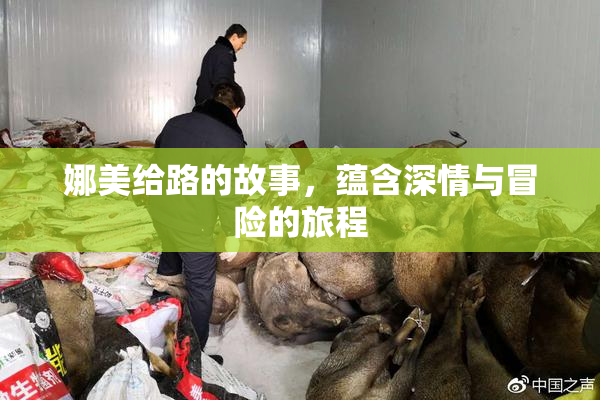 娜美给路的故事，蕴含深情与冒险的旅程