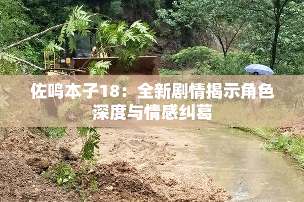 佐鸣本子18：全新剧情揭示角色深度与情感纠葛