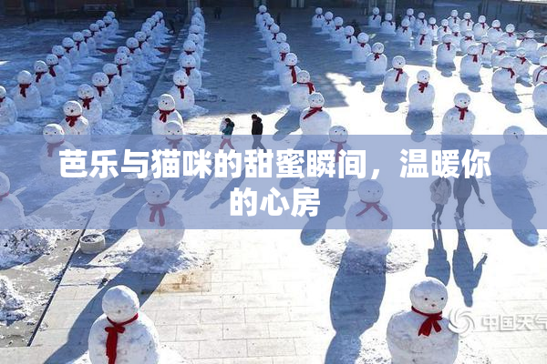 芭乐与猫咪的甜蜜瞬间，温暖你的心房